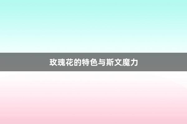 玫瑰花的特色与斯文魔力